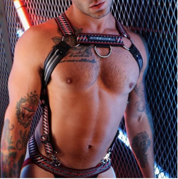 BREEDWELL Gymnetixxx-Harnes Schwarz-Rot in Gr&ouml;&szlig;e S/M