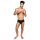 Fleshjack Boys + Allen King +
