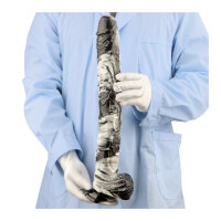 F*CK MY COLOR Pisara Dildo  &Oslash; 5,3 / L&auml;nge...