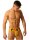 Fist Logo Jock • Yellow Größe L